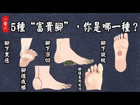 腳背厚面相|「腳相」算命：你的腳屬於什麼命？